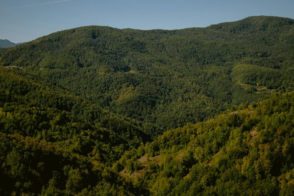 Courtier en immobilier : obtenez le meilleur prêt